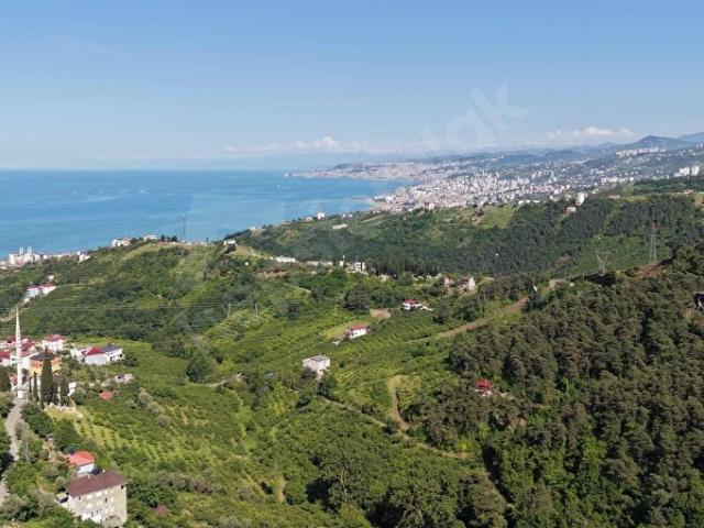 Akçaabat, Trabzon içerisinde satılık Arsa