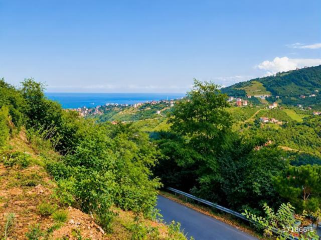 Kayalar, Akçaabat içerisinde satılık Arsa