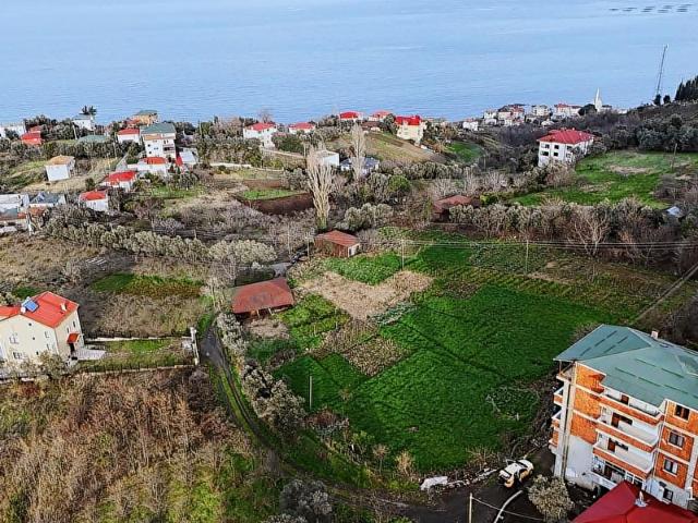 Salacık, Akçaabat içerisinde satılık mülk