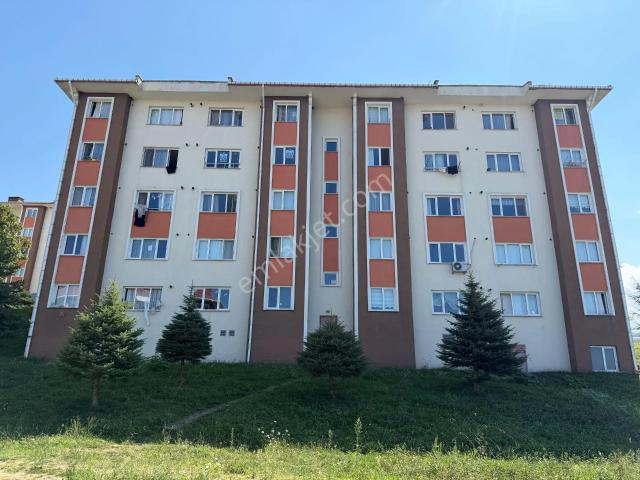 Akçaabat, Trabzon içerisinde kiralık mülk
