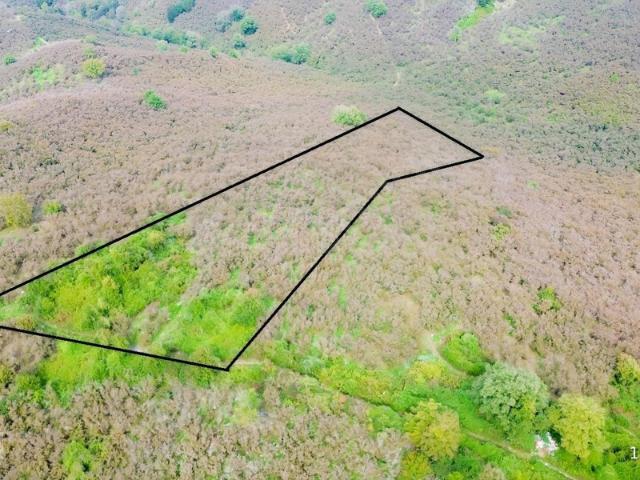 Aktaş, Akçakoca içerisinde satılık Arsa