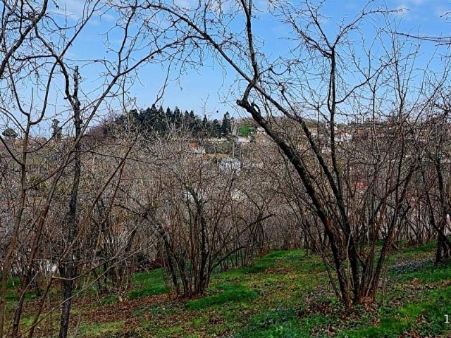 Akçakoca, Düzce içerisinde satılık Arsa