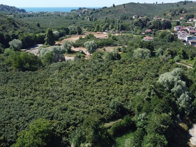 Akçakoca, Düzce içerisinde satılık Arsa