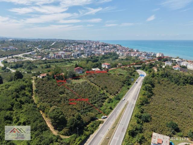 Ayazlı, Akçakoca içerisinde satılık Arsa
