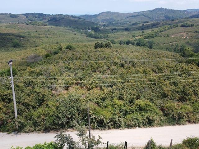 Akçakoca, Düzce içerisinde satılık Arsa