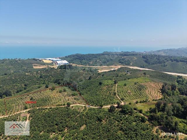 Akçakoca, Düzce içerisinde satılık mülk