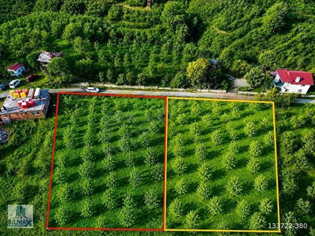 Akçakoca, Düzce içerisinde satılık Arsa