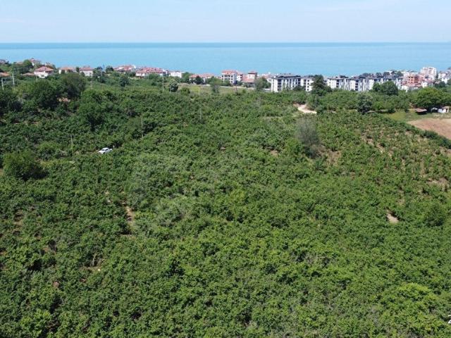 Akçakoca, Düzce içerisinde satılık Arsa