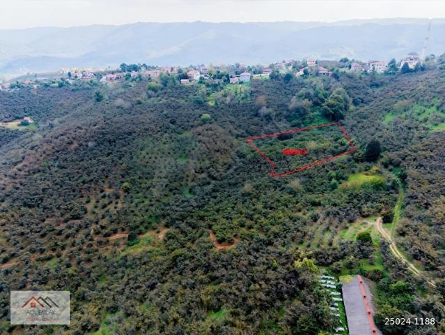 Tepeköy, Akçakoca içerisinde satılık Arsa