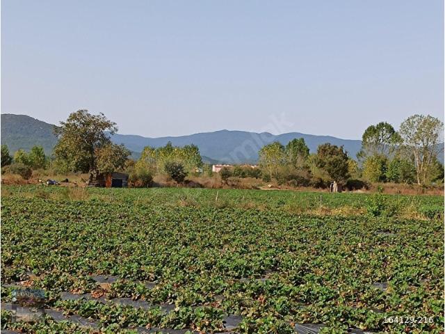 Akçakoyun, Yenice içerisinde satılık Arsa