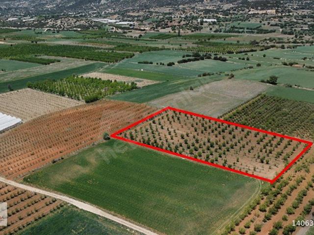 Elmali, Antalya içerisinde satılık Arsa