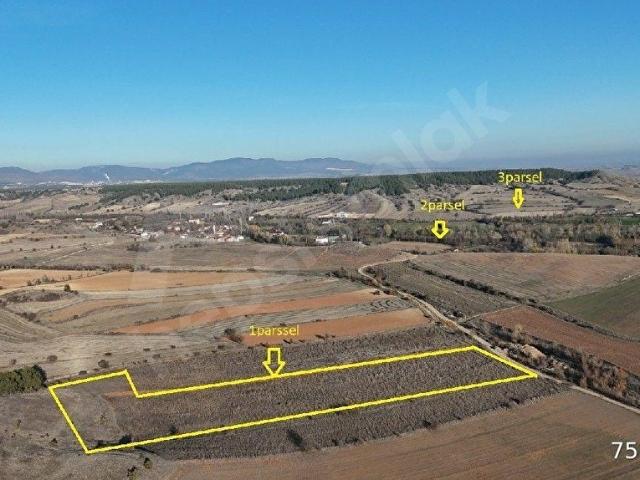 Kastamonu Merkez, Kastamonu içerisinde satılık Arsa