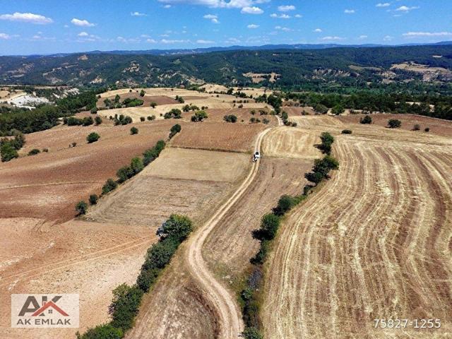 Kastamonu Merkez, Kastamonu içerisinde satılık Arsa