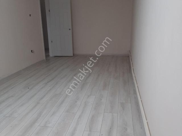 İstanbul Merkez, İstanbul içerisinde kiralık mülk