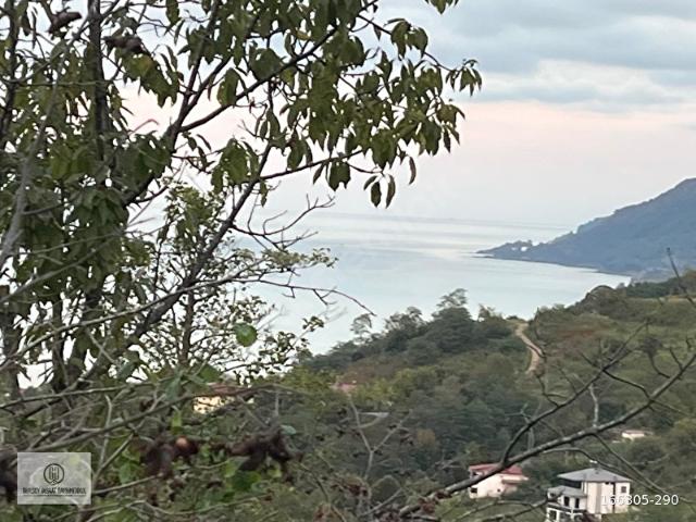 Ordu içerisinde satılık Arsa
