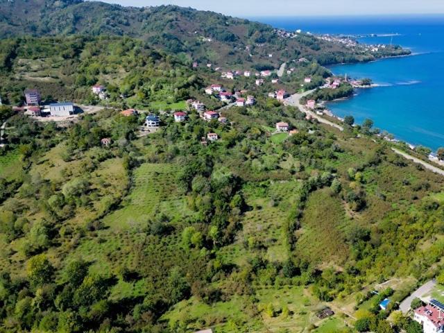 Ordu içerisinde satılık mülk