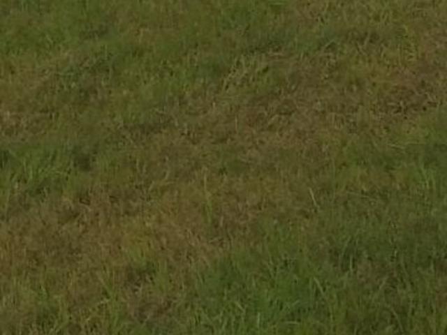 Land for sale in Ludhiana, Punjab