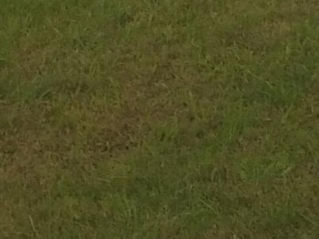 Land for rent in Ludhiana, Punjab
