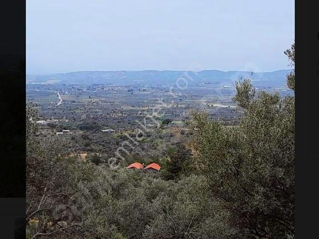 Karabağlar, İzmir içerisinde satılık mülk