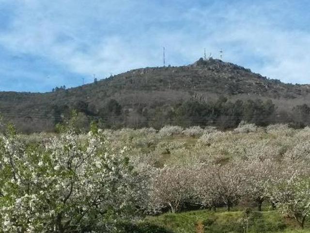 Casa en alquiler en Pinofranqueado, Extremadura
