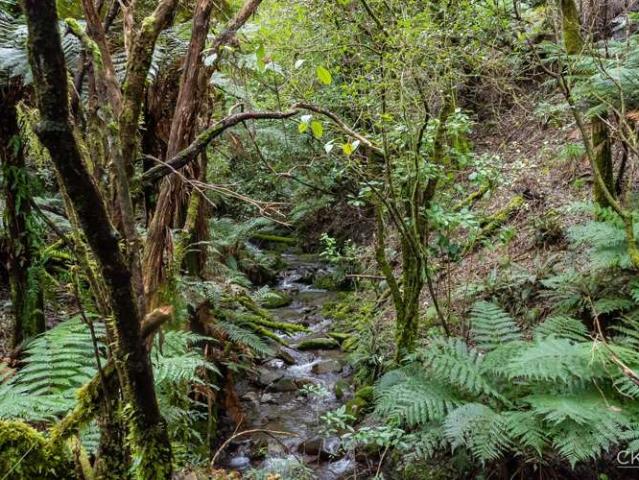 Property for sale in Pauatahanui, Wellington