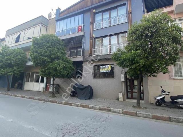 Nazilli, Aydin içerisinde kiralık mülk