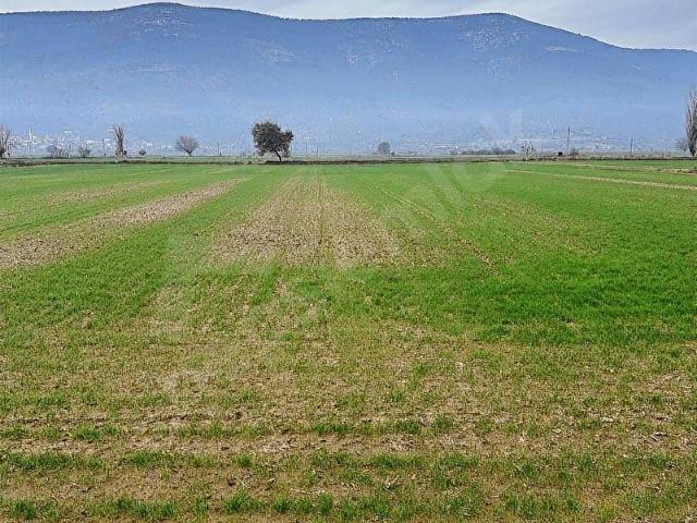 Milas, Muğla içerisinde satılık Arsa