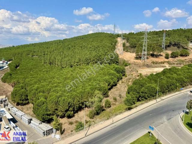 Aydınlı Mahallesi, Tuzla içerisinde kiralık mülk