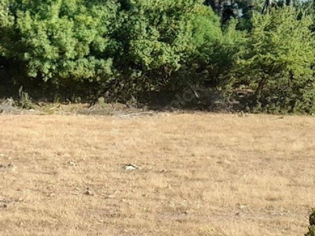 Muğla Merkez, Muğla içerisinde satılık Arsa