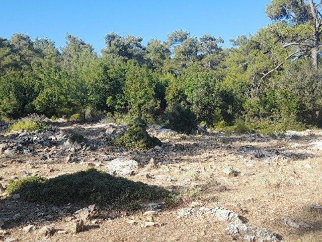 Muğla Merkez, Muğla içerisinde satılık Arsa