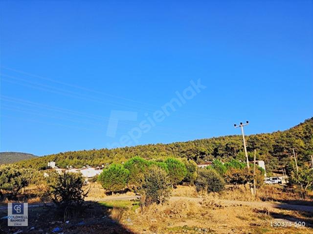 Didim, Aydin içerisinde satılık Arsa