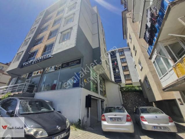 Tokat Merkez, Tokat içerisinde kiralık mülk