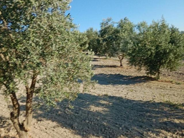 Akhisar, Manisa içerisinde satılık mülk