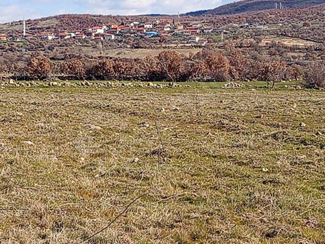 Selendi, Manisa içerisinde satılık Arsa