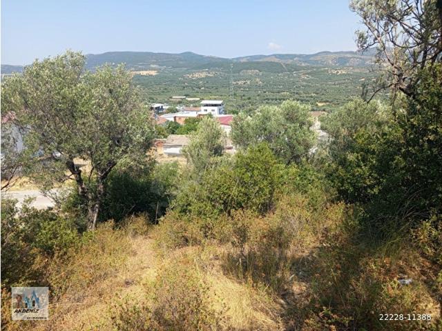 Büyükbelen, Saruhanlı içerisinde satılık mülk