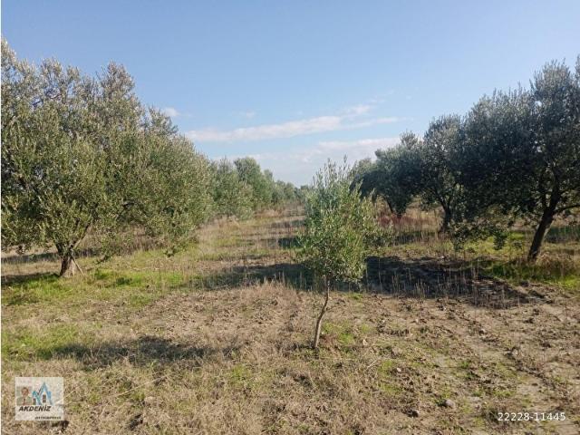 Manisa içerisinde satılık mülk