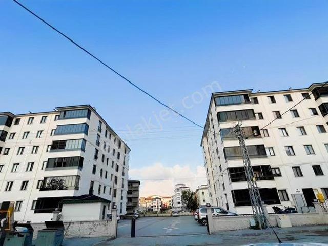 Çarşamba, Samsun içerisinde kiralık mülk