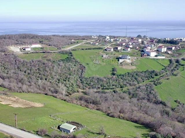Atakum, Samsun içerisinde satılık mülk