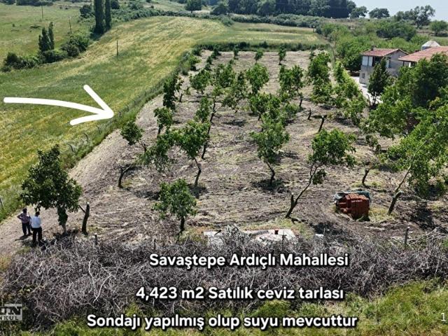 Ardıçlı, Savaştepe içerisinde satılık Arsa