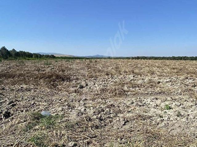 Saruhanli, Manisa içerisinde satılık Arsa
