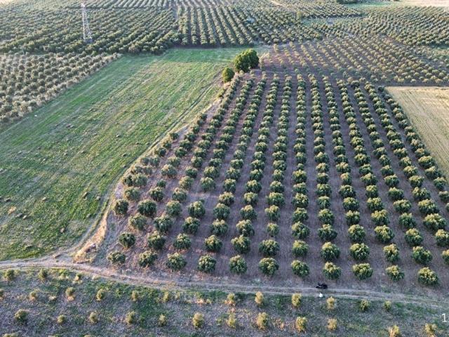 Akhisar, Manisa içerisinde satılık Arsa