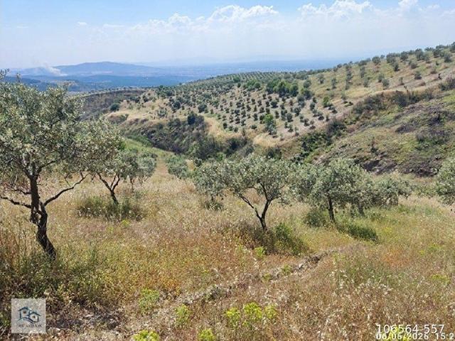 Akhisar, Manisa içerisinde satılık mülk