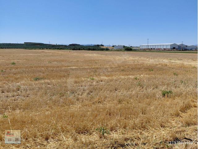 Kayalıoğlu, Akhisar içerisinde satılık Arsa
