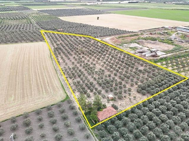 Akhisar, Manisa içerisinde satılık Arsa
