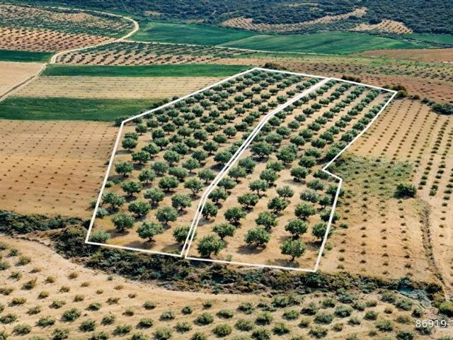 Semerkaya, Akhisar içerisinde satılık Arsa