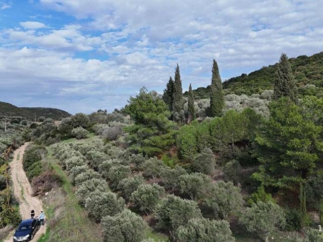 Didim, Aydin içerisinde satılık Arsa