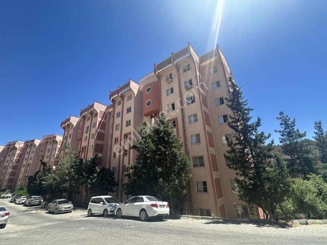 Mardin Merkez, Mardin içerisinde kiralık mülk