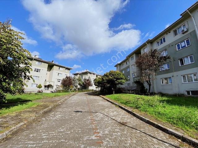 Düzce Merkez, Düzce içerisinde kiralık mülk