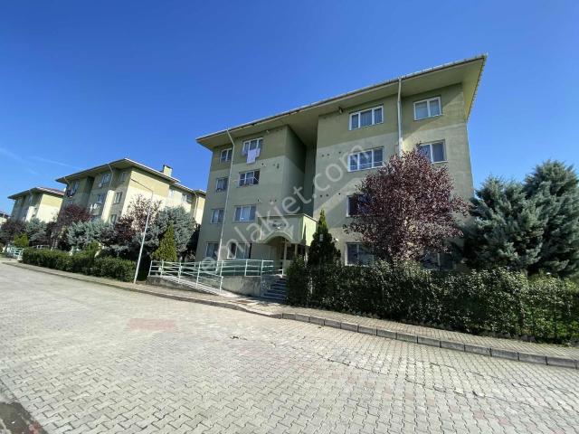 Düzce Merkez, Düzce içerisinde kiralık mülk
