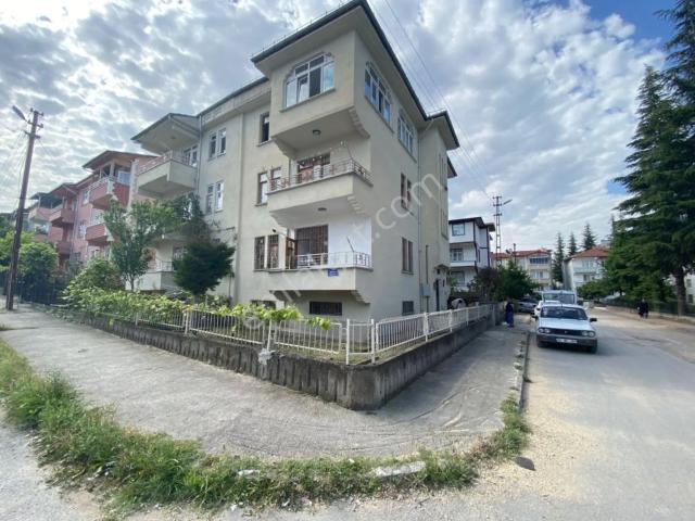 50. Yıl, Niksar içerisinde kiralık mülk
